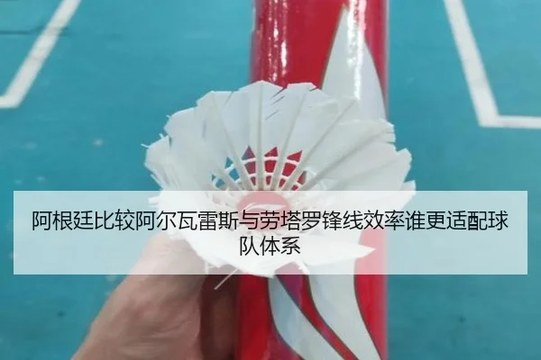 阿根廷比较阿尔瓦雷斯与劳塔罗锋线效率谁更适配球队体系