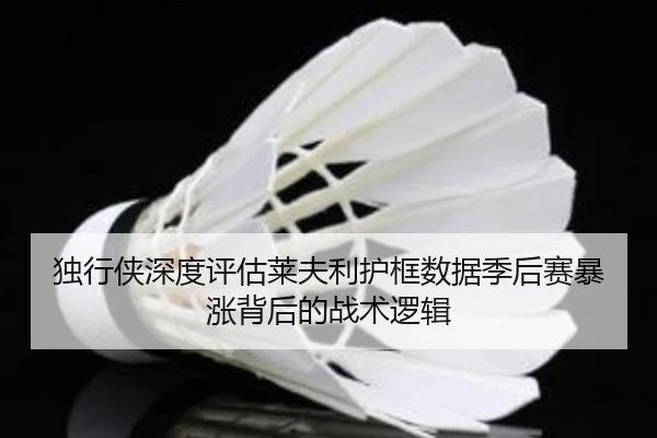 独行侠深度评估莱夫利护框数据季后赛暴涨背后的战术逻辑